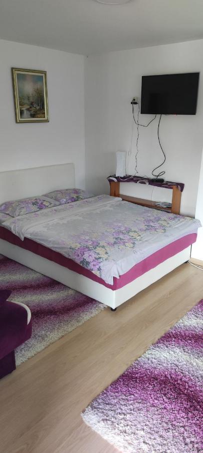 Apartment Bucic Златибор Екстериор снимка
